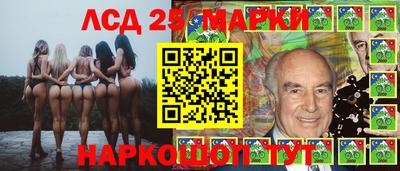 стафф Новодвинск