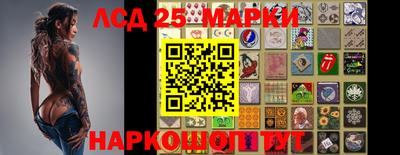 прущие грибы Наро-Фоминск